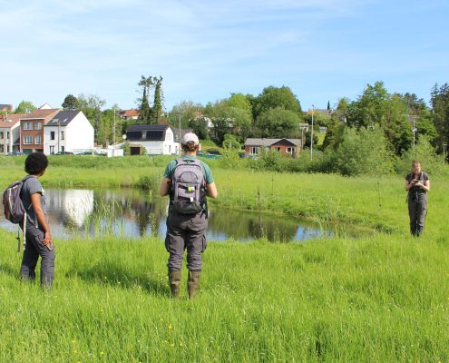 image bioblitz 2024